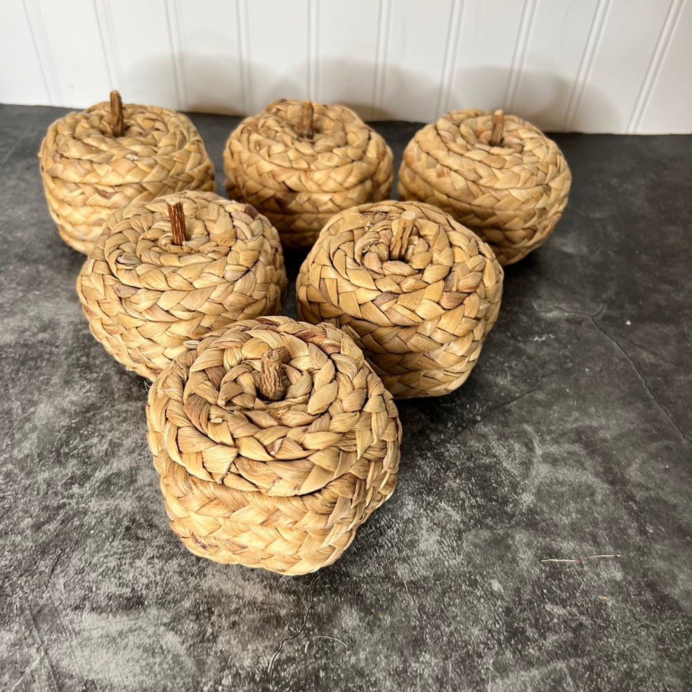 Woven Rattan Pumpkins Apples | Set of 6 | Fall Autumn Boho Farmhouse